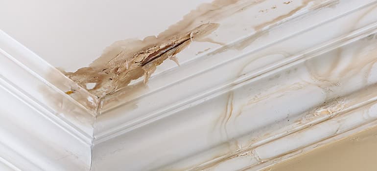 Water-Damage Ceiling Repair & Patching